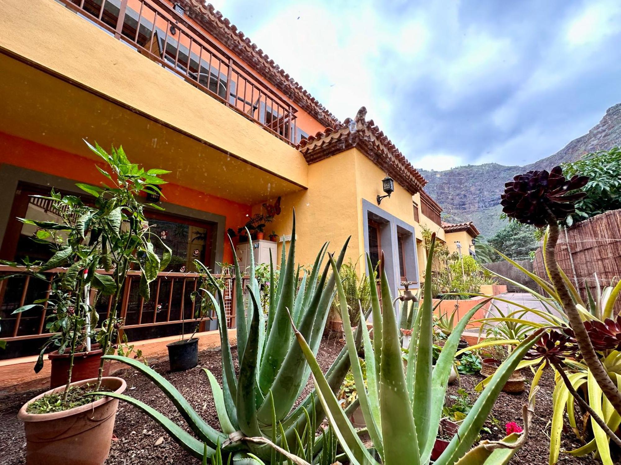 Calma Suite Agulo Dış mekan fotoğraf